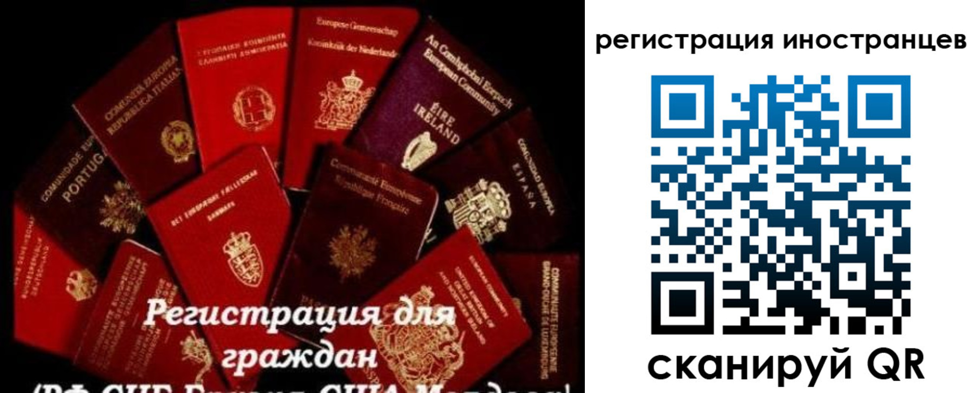 прописка иностранных граждан в Геленджике